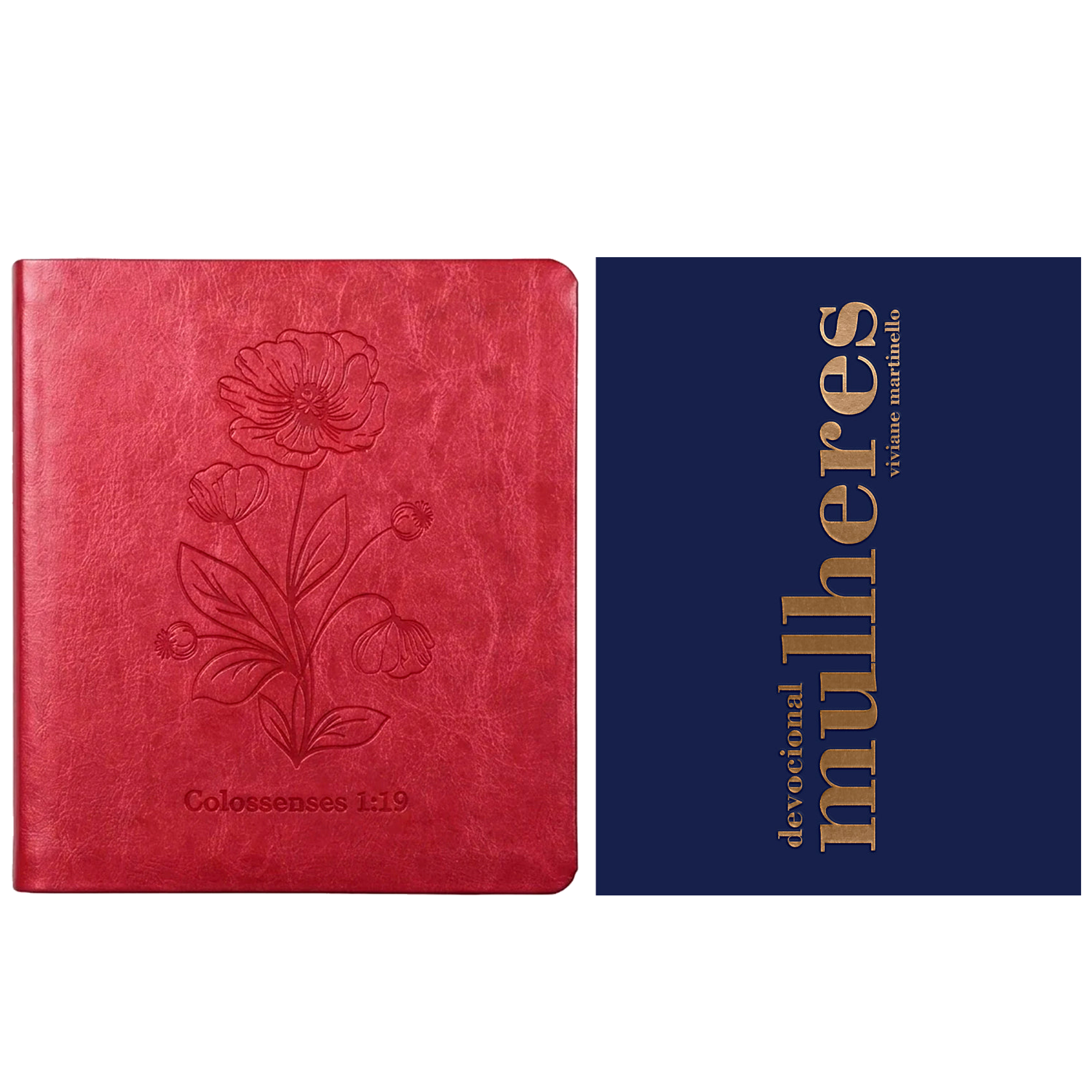 Kit Bíblia Sagrada Leia e Anote Colossenses 1:19 | NVT | Letra Grande | Capa Luxo Bordô + Devocional Mulheres 2027 | Viviane Martinello