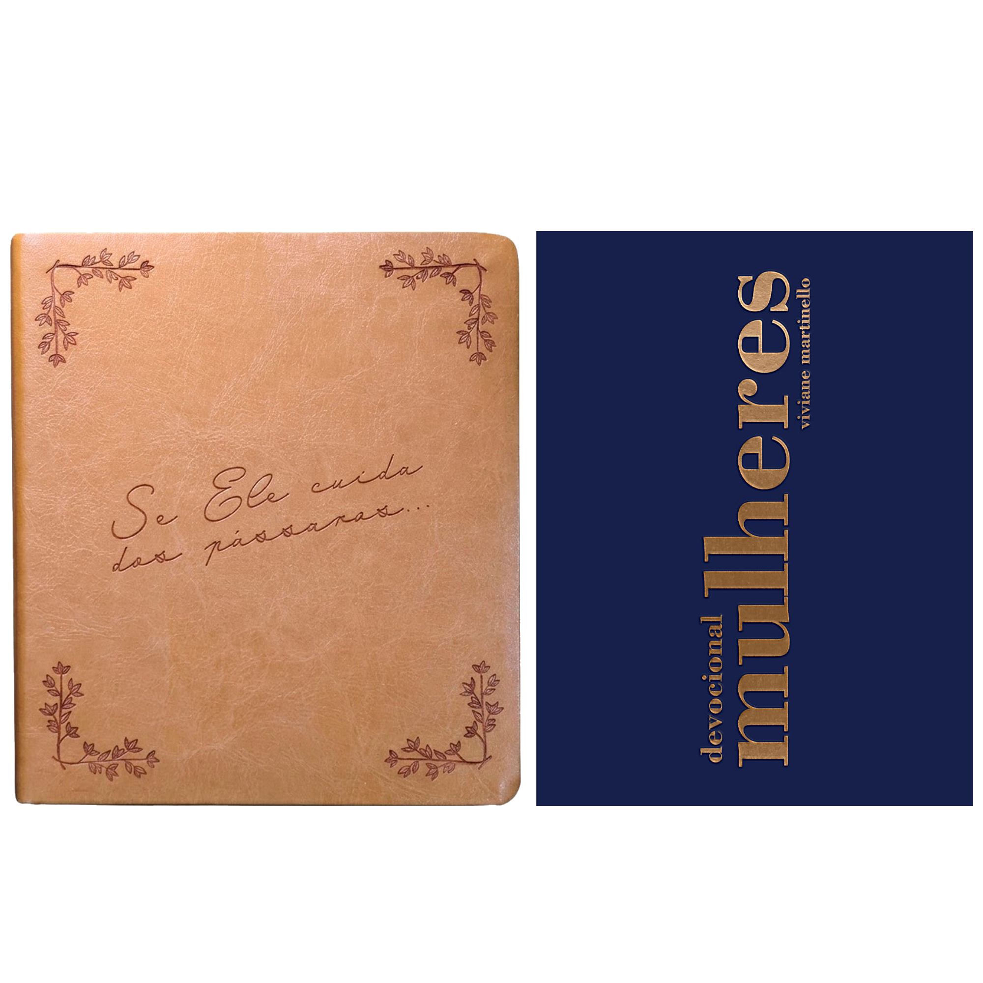 Kit Bíblia Sagrada Leia e Anote Pássaros | NVI | Letra Grande | Capa Luxo Caramelo + Devocional Mulheres 2027 | Viviane Martinello
