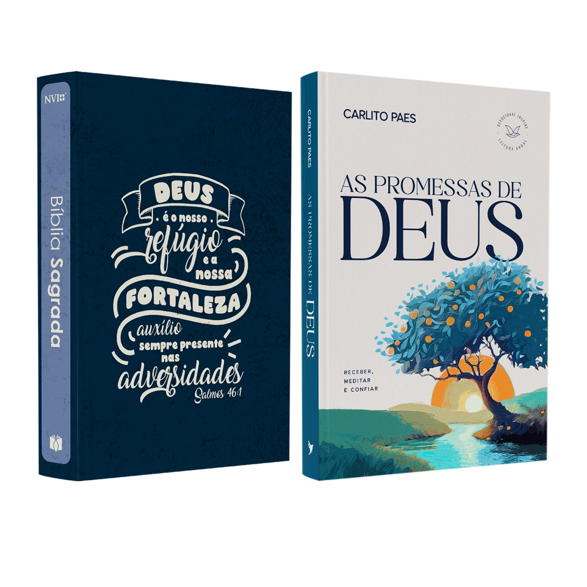 Kit Bíblia Sagrada Lettering | NVI | Capa Brochura Azul + Devocional As Promessas de Deus | Carlito Paes