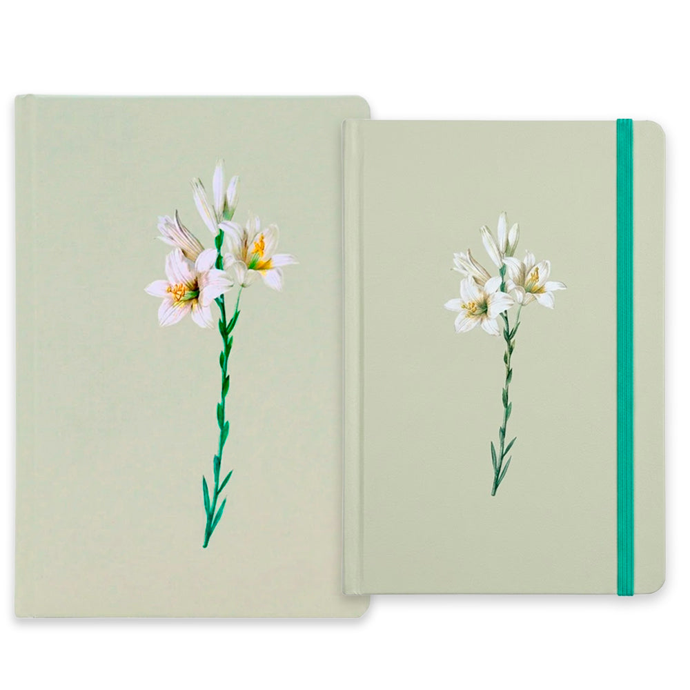 Kit Lírios | Bíblia Sagrada Lírios Capa Dura com Caderno Moleskine: Bíblia Sagrada verde-claro com lírio e moleskine verde-claro com lírio. — Plenitude