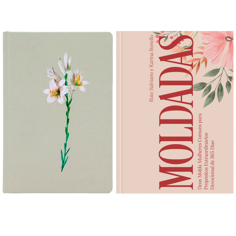 Kit Bíblia Sagrada Lírios Verde | NVI | Letra Maior | Capa Dura + Devocional Moldadas | 365 Dias com as Mulheres da Bíblia | Rute Salviano e Karina Bonello