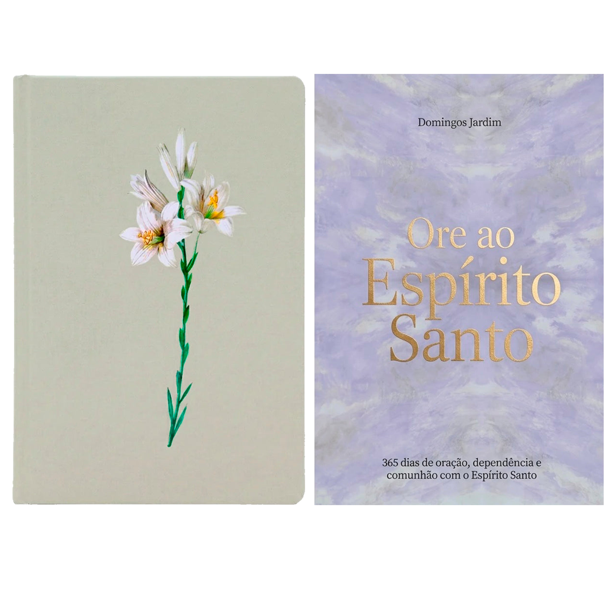 Kit Bíblia Sagrada Lírios Verde | NVI | Letra Maior | Capa Dura + Devocional Ore ao Espírito Santo | Domingos Jardim