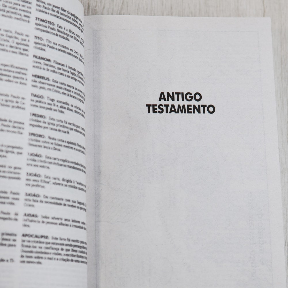 Capa de Bíblia Sagrada | NTLH | Todas as Coisas | Brochura — item do Kit Bíblia Sagrada | NTLH | Todas as Coisas | Brochura 10un · foto 7