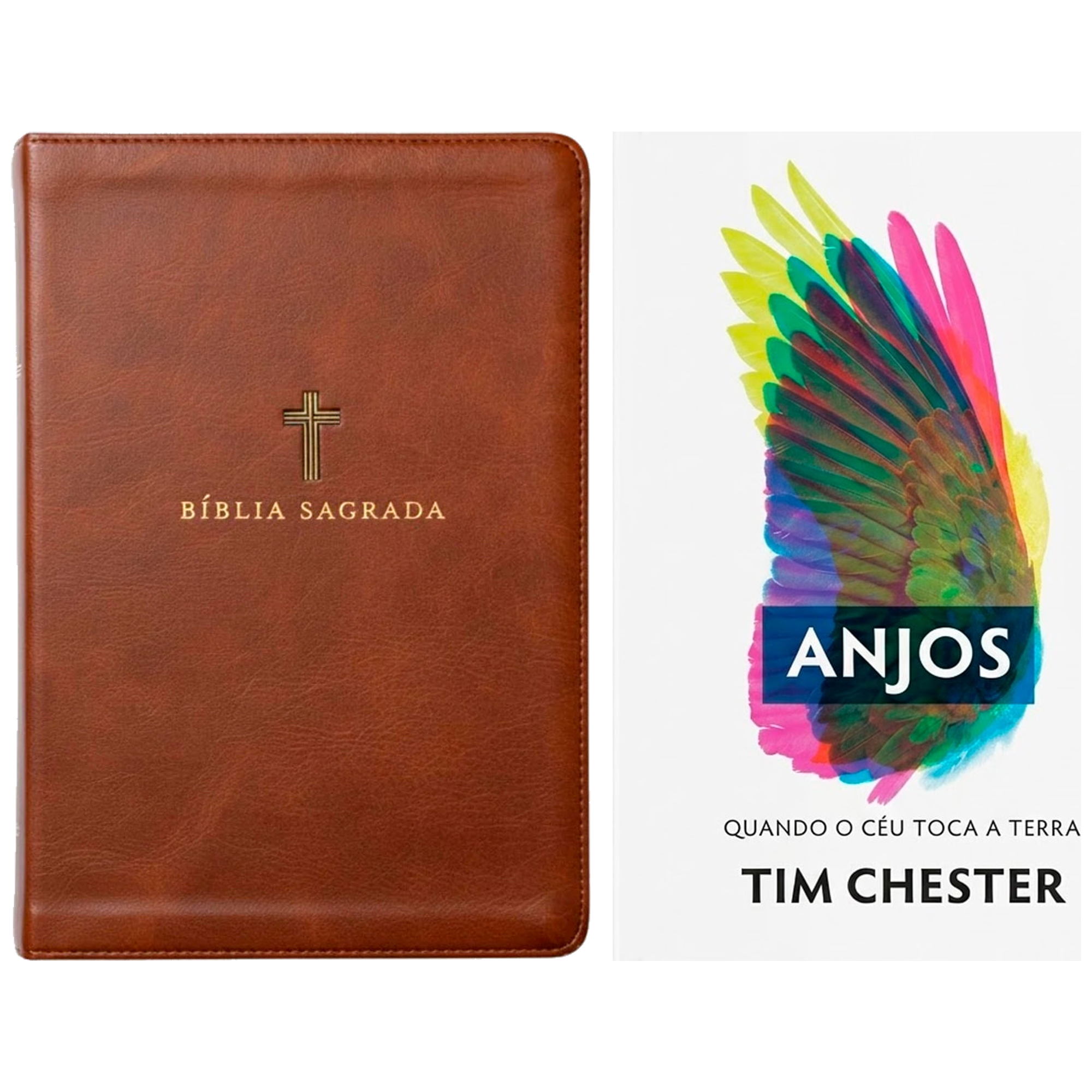 Kit Bíblia Sagrada | NVI | Leitura Perfeita | Couro Soft Marrom | Com Índice + Anjos | Tim Chester