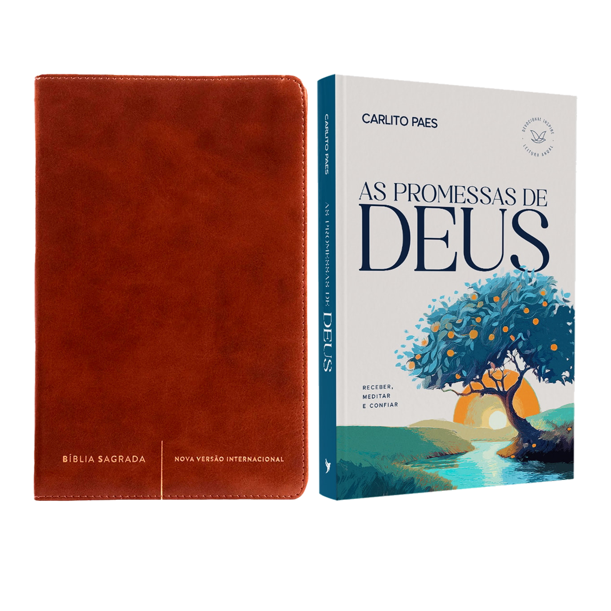 Kit Bíblia Sagrada Slim | NVI | Letra Normal | Capa Luxo Marrom + Devocional As Promessas de Deus | Carlito Paes