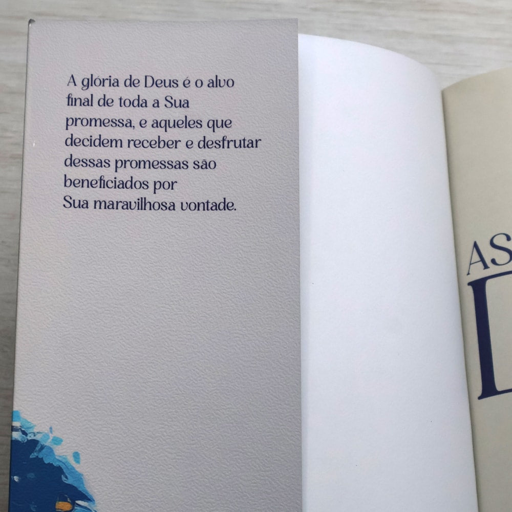 Capa de Devocional As Promessas de Deus  | Carlito Paes — item do Kit Bíblia Sagrada Slim | NVI | Letra Normal | Capa Luxo Marrom + Devocional As Promessas de Deus | Carlito Paes · foto 7