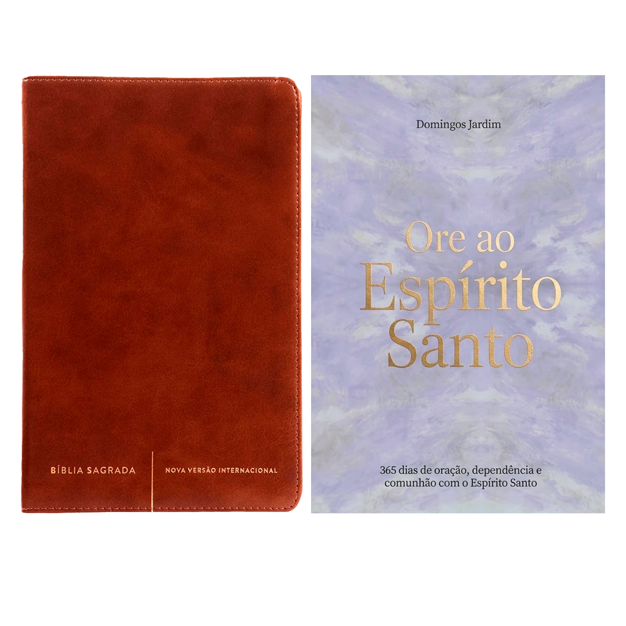 Kit Bíblia Sagrada Slim | NVI | Letra Normal | Capa Luxo Marrom + Devocional Ore ao Espírito Santo | Domingos Jardim