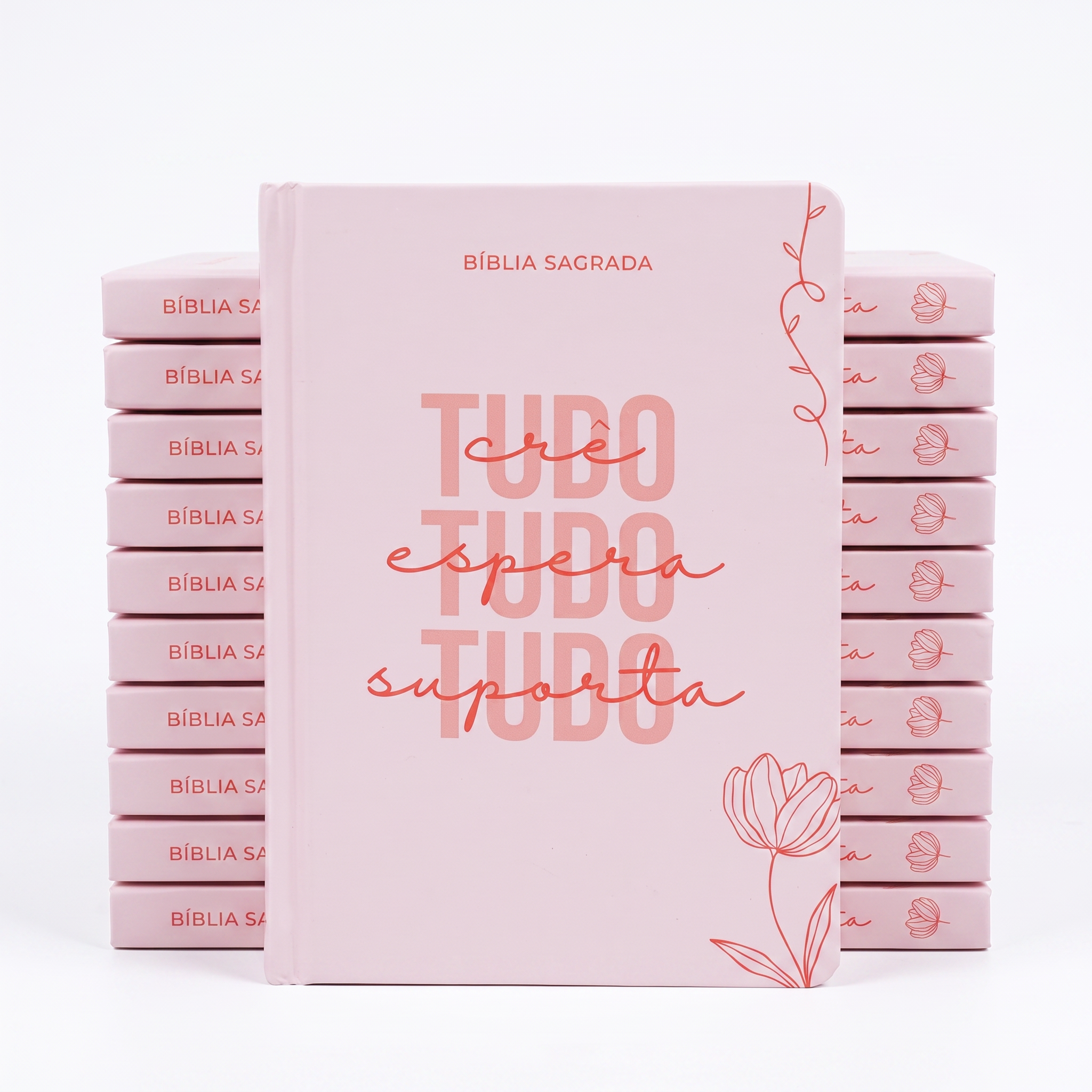 Kit Bíblia Sagrada Slim Tudo Crê | NVT | Capa Dura 10un