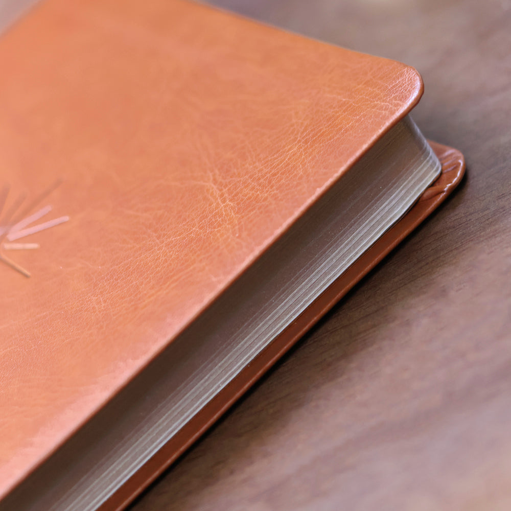Capa de Bíblia Slim Filament | NVT | Letra Grande | Capa Couro Sintético Marrom — item do Kit Bíblia Slim Filament | NVT | Letra Grande | Capa Couro Sintético Marrom + Devocional Uma Vida Abençoada | Kelly Minter · foto 5
