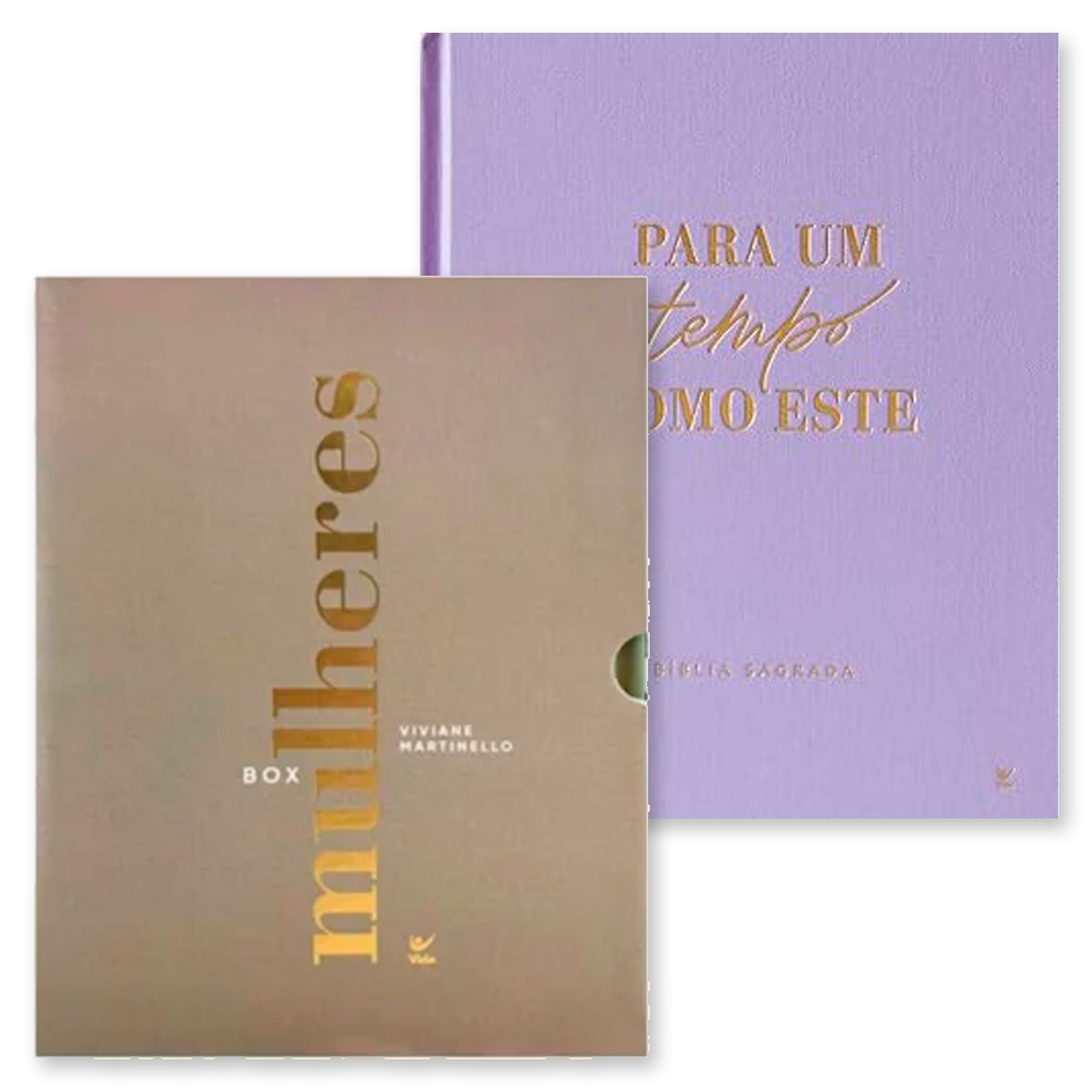 Kit Box Mulheres Capa Dura Luxo + Bíblia Mulheres Um Tempo Como Este NVT Capa Dura Lilás | Viviane Martinello