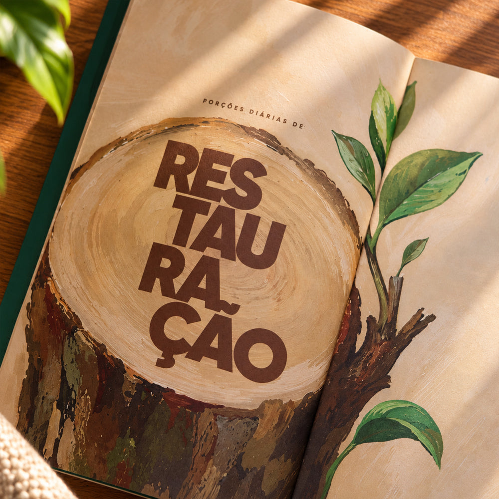 Capa de Café Com Deus Pai 2027 | Júnior Rostirola | Capa Brochura — item do Kit Café Com Deus Pai 2027 | Júnior Rostirola | Capa Brochura + O Peregrino | Clássicos da Literatura | John Bunyan · foto 6