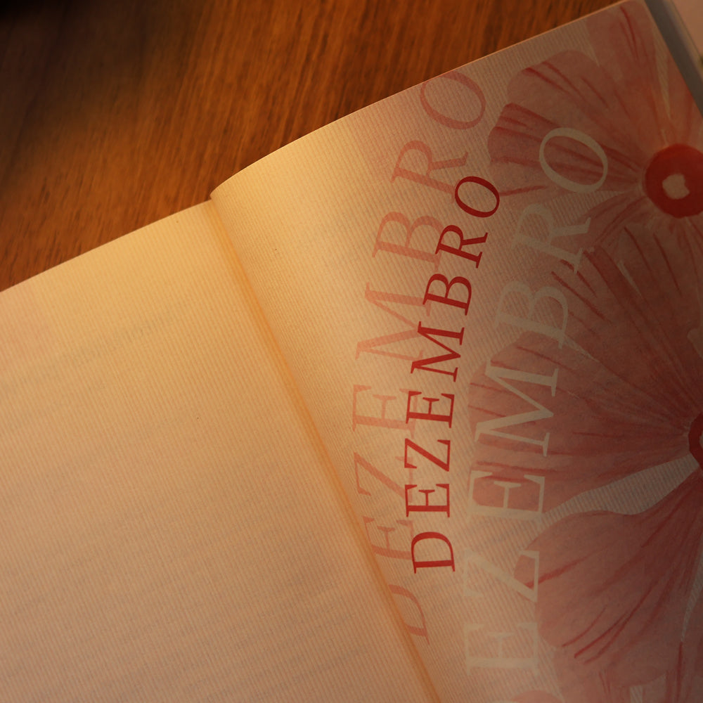 Capa de Devocional Moldadas | 365 Dias com as Mulheres da Bíblia | Rute Salviano e Karina Bonello — item do Kit Devocional Moldadas | 365 Dias com as Mulheres da Bíblia | Rute Salviano e Karina Bonello + Grátis Bloco de Anotações Flor Minimalista · foto 7