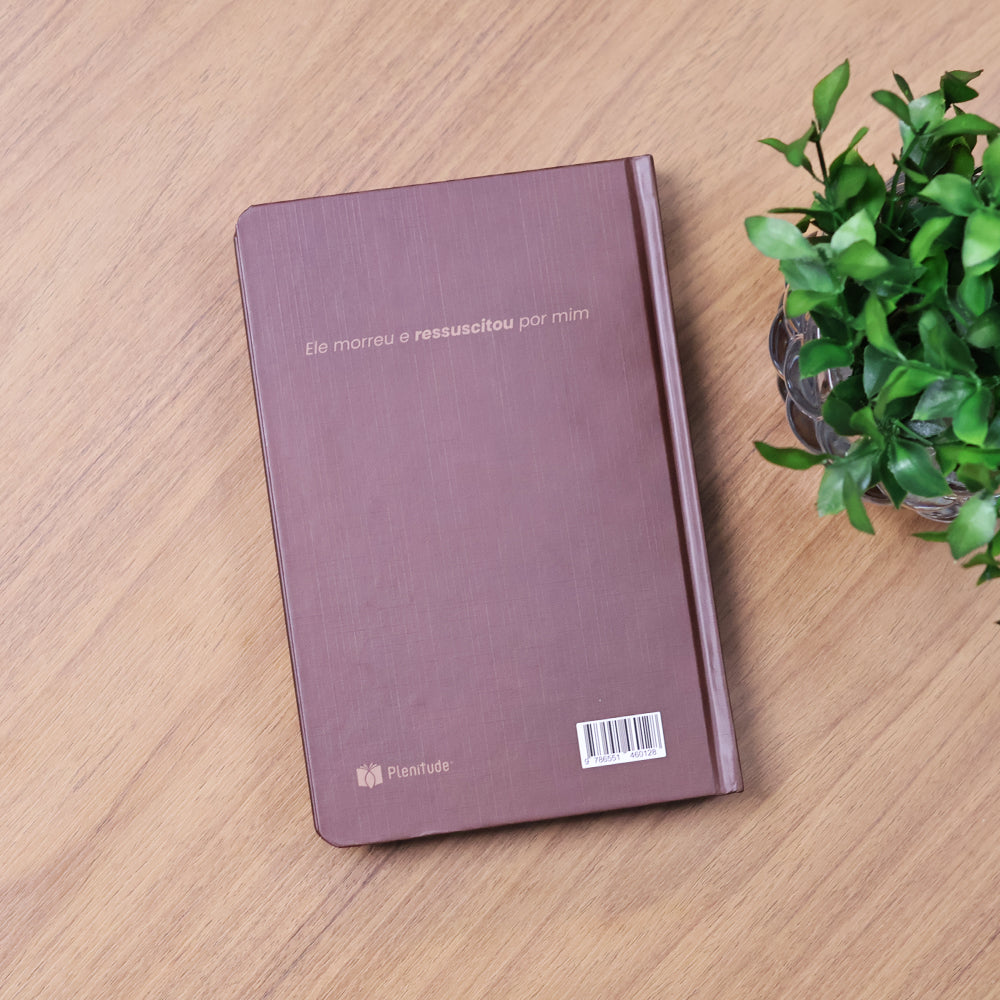 Capa de Bíblia Sagrada Ele Ressuscitou | NVT | Capa Dura — item do Kit Devocional Ore ao Espírito Santo | Domingos Jardim + Bíblia Sagrada Ele Ressuscitou | NVT | Capa Dura · foto 8