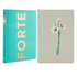Kit Forte | Devocionais Para Uma Vida Poderosa e Apaixonada | Lisa Bevere + Bíblia Sagrada Lírios Verde | NVI | Letra Maior | Capa Dura