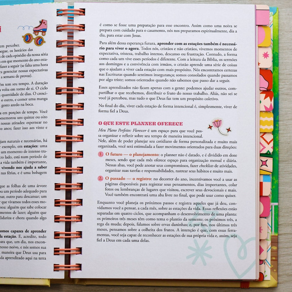 Capa de Meu Plano Perfeito Florescer | Capa Almofadada Espiral Oculto Dorama — item do Kit Meu Plano Perfeito Florescer | Capa Almofadada Espiral Oculto Dorama + Como Um Dia Sem Fim | Tatielle Katluryn · foto 5