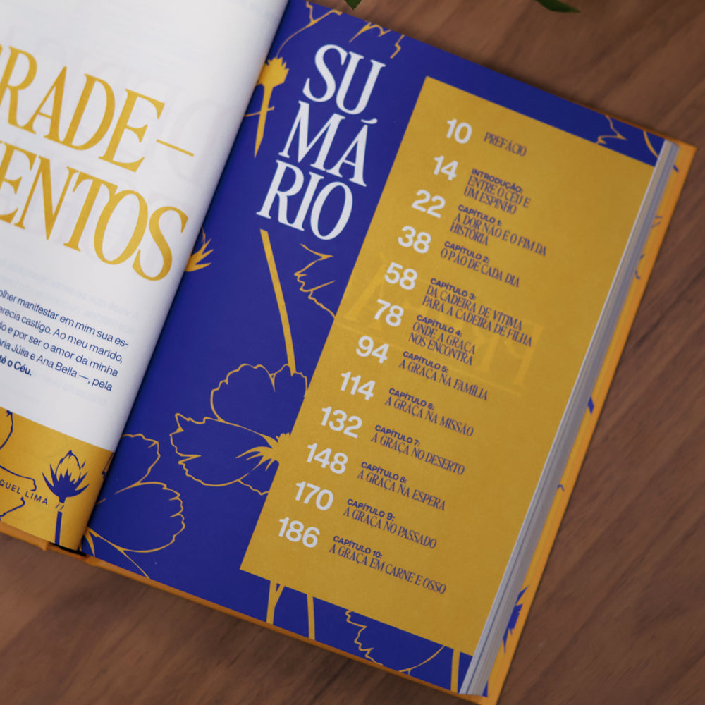 Capa de Nem Um Dia Sem Graça | Raquel Lima — item do Kit Nem Um Dia Sem Graça + Viva | Raquel Lima · foto 5