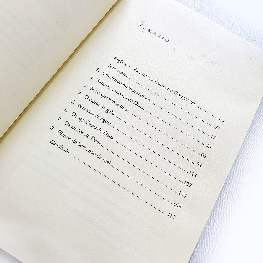 Capa de O Agir Invisível de Deus | Luciano Subirá — item do Kit O Agir Invisível de Deus + Até que Nada Mais Importe | Luciano Subirá · foto 4