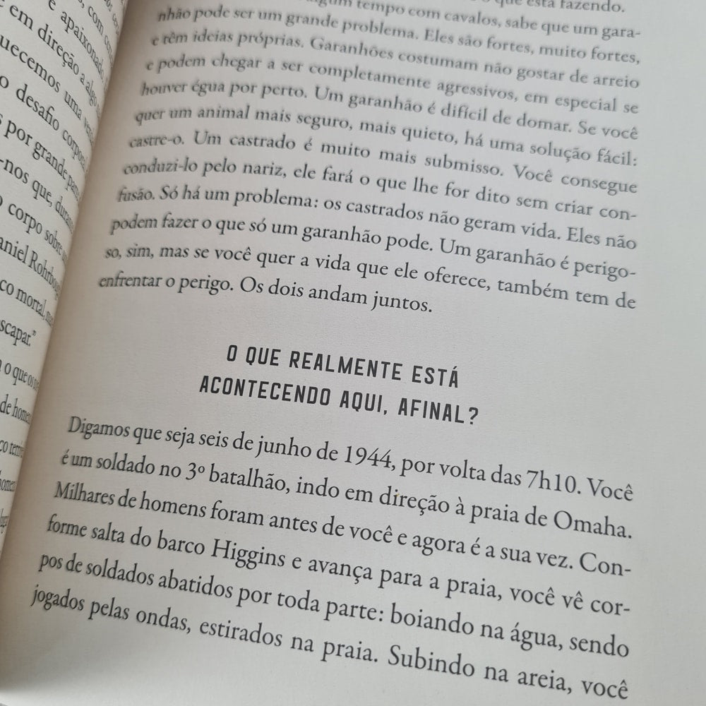 Capa de Coração Selvagem | John Eldredge — item do Kit O Silêncio de Adão | Larry Crabb + Seja Homem | Telmo Martinello + Masculinidade Restaurada | Eric Mason + Coração Selvagem | John Eldredge · foto 4