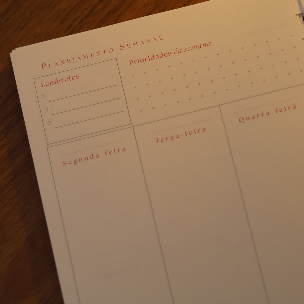 Capa de Planner Contando os Meus Dias | Capa Dálias Rosa — item do Kit Planner Contando os Meus Dias | Capa Dálias Rosa + Mulheres Improváveis | Viviane Martinello · foto 9