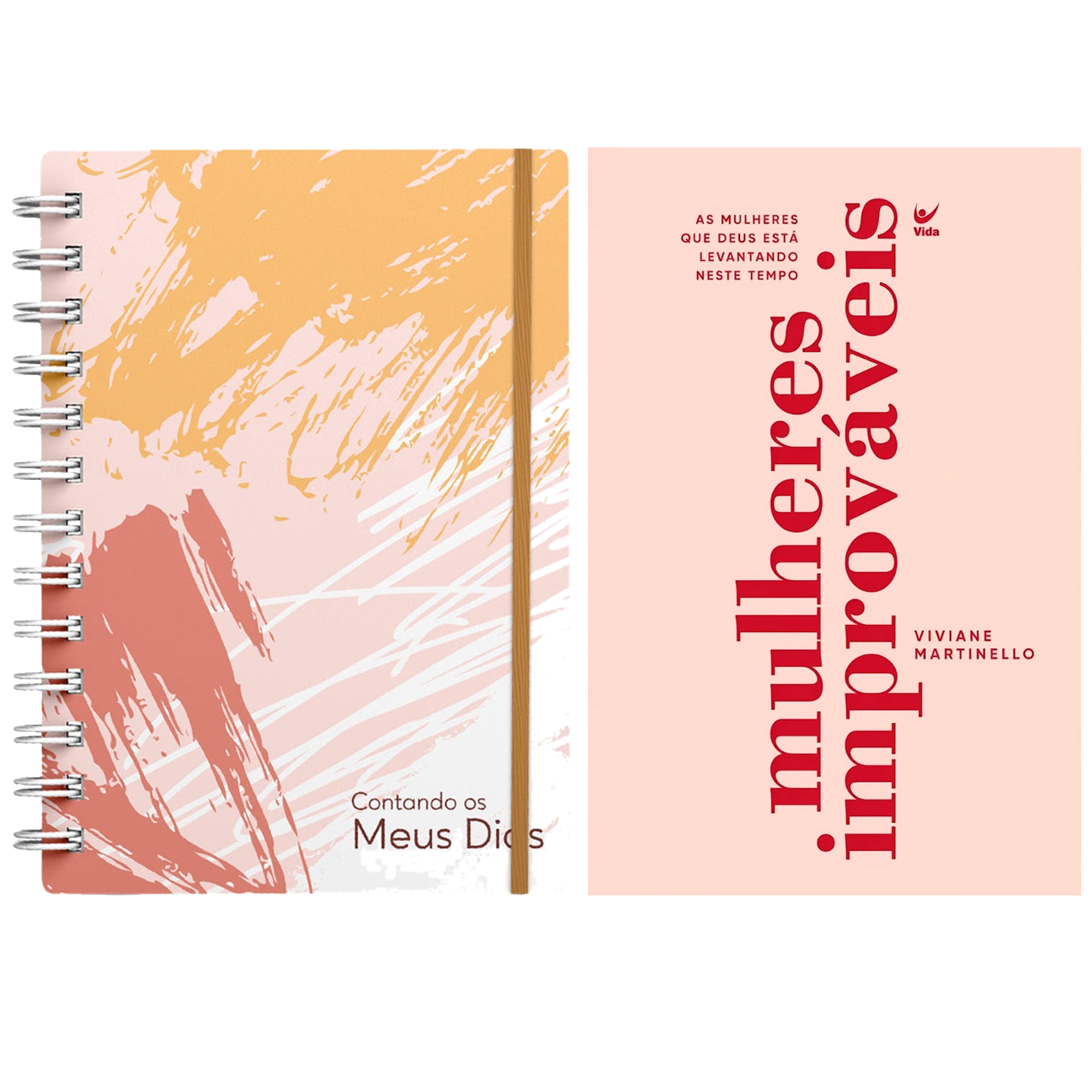 Kit Planner Contando os Meus Dias | Capa Pinceladas Pêssego + Mulheres Improváveis | Viviane Martinello
