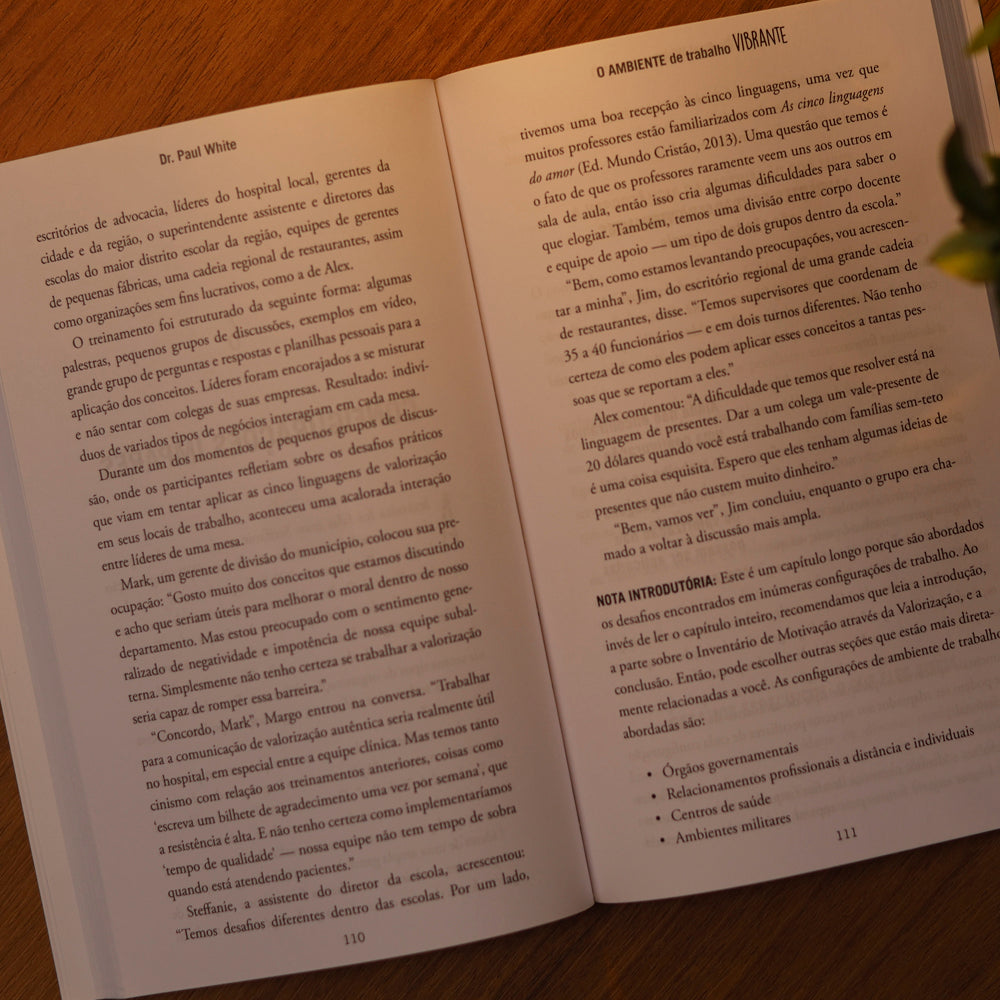 O Ambiente de Trabalho Vibrante | Dr. Paul White