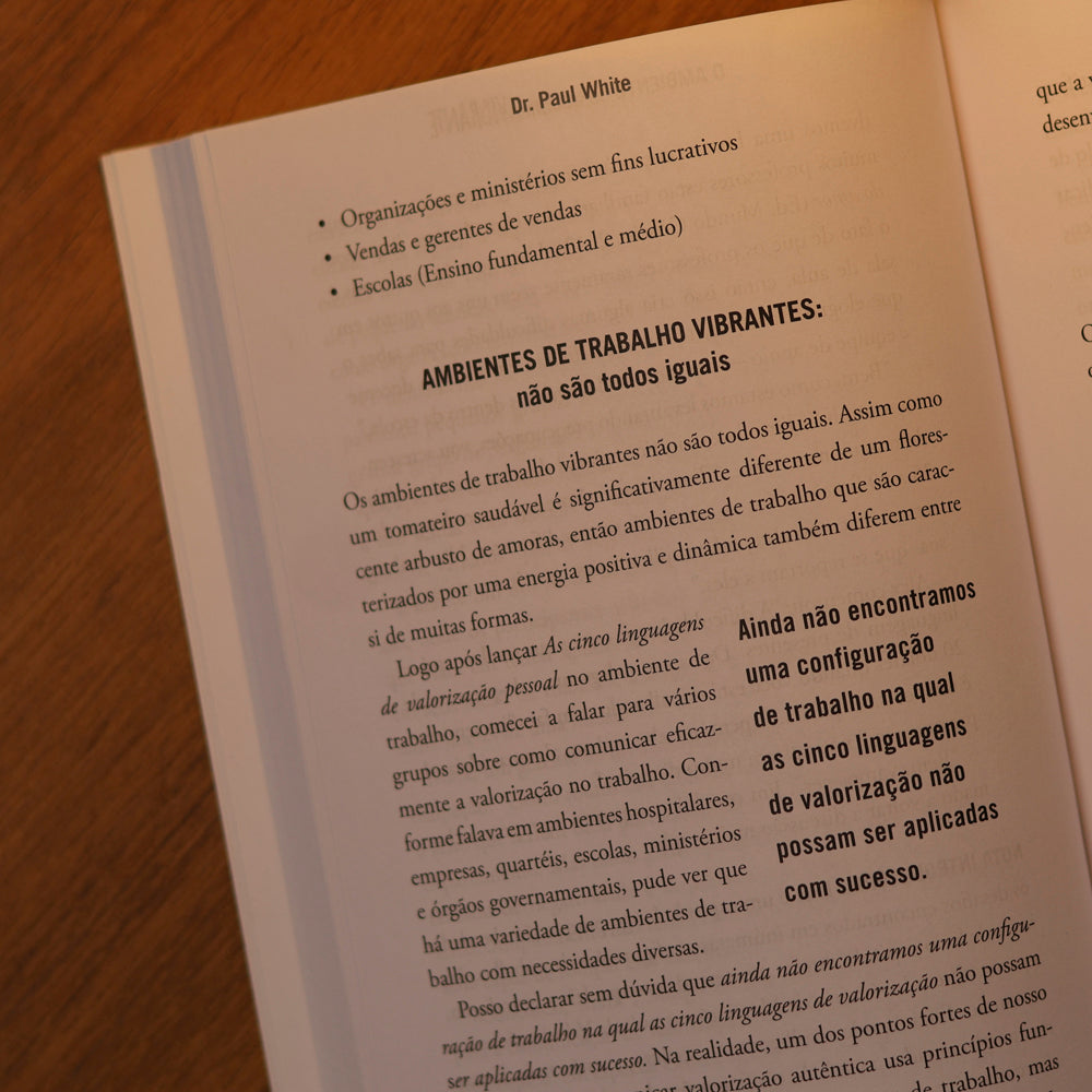 O Ambiente de Trabalho Vibrante | Dr. Paul White