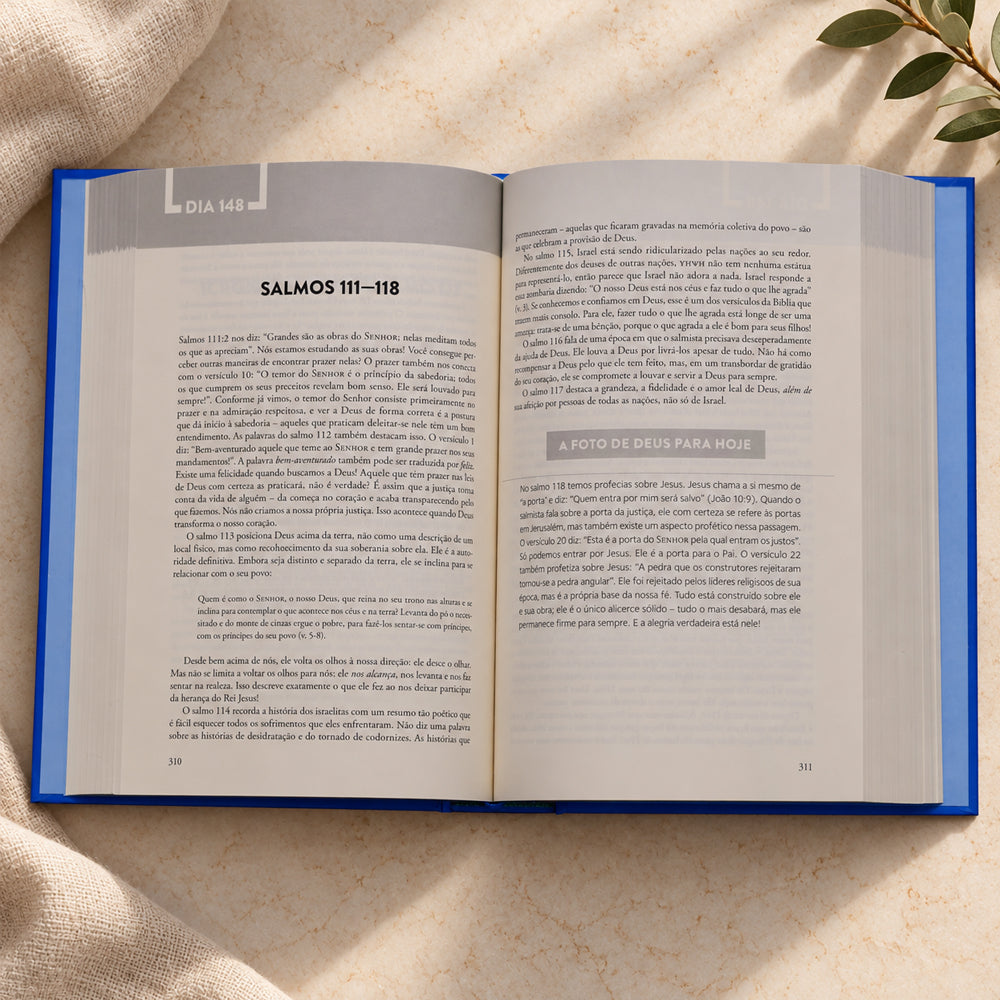 Recap da Bíblia | Tara-Leigh Cobble