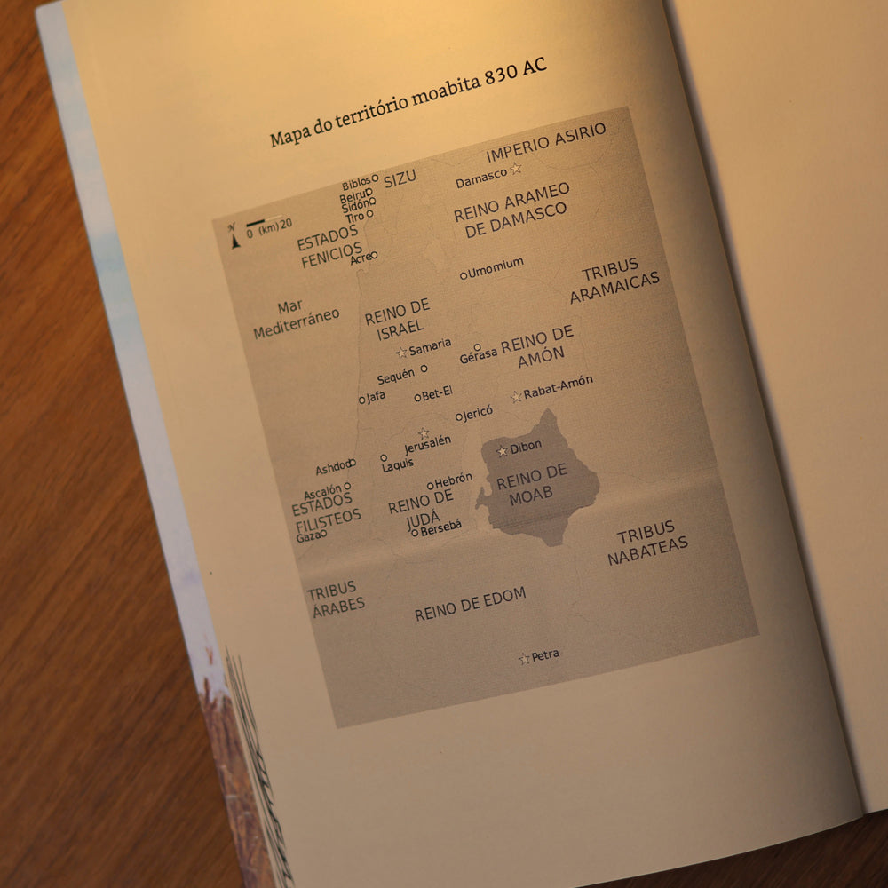 Rute, a Estrangeira | Lycia Barros
