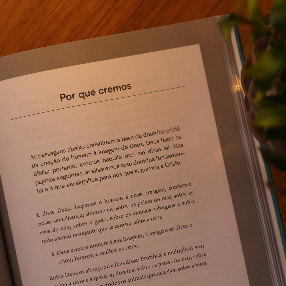 Verdades Que Todo Adolescente Pode Confiar | Paul David Tripp